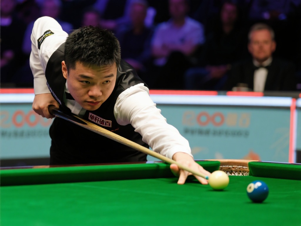 无论是新手 无论是新手